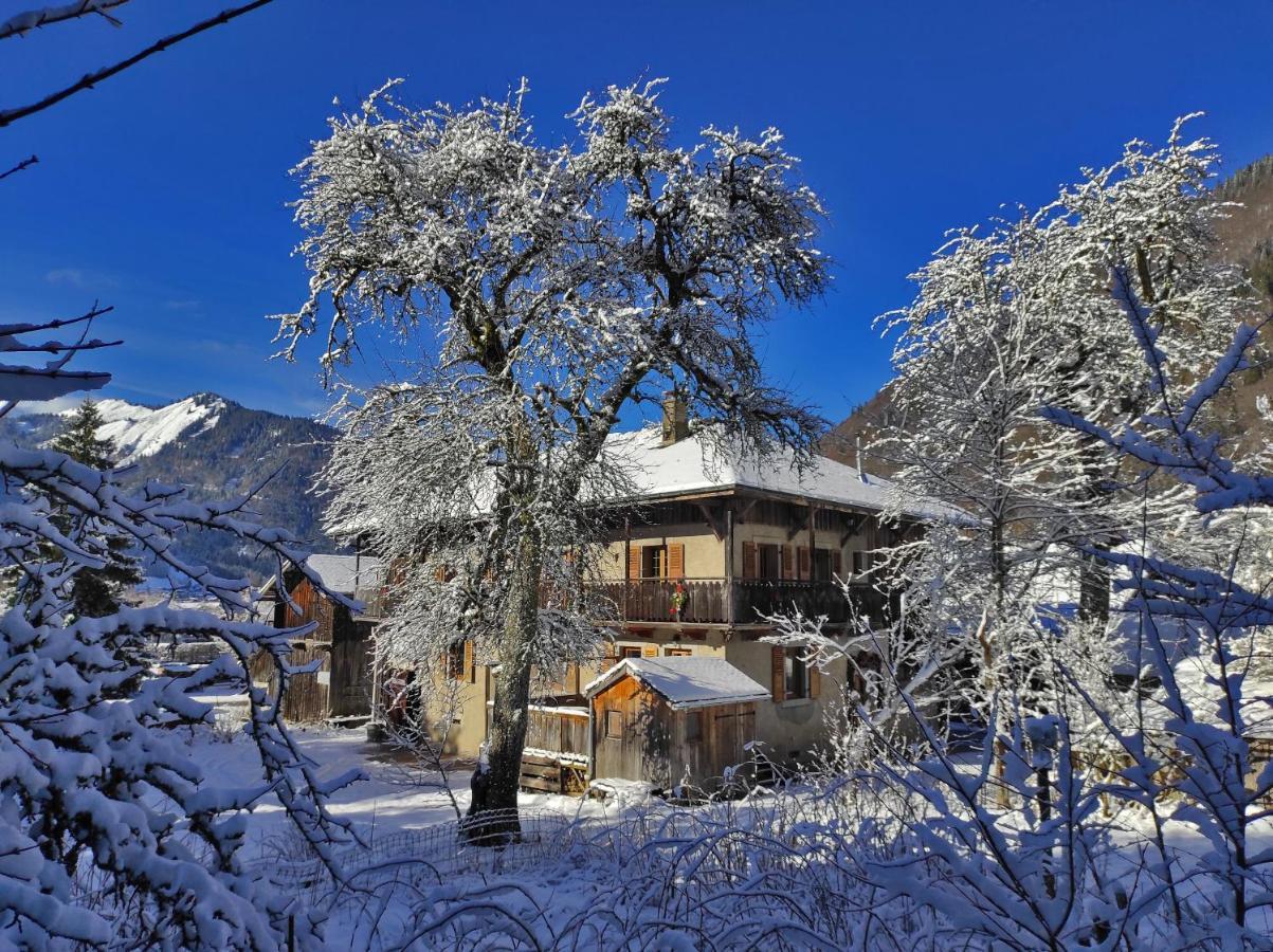 Appartement 6 Pers 70 M² Dans Chalet Chez Marie 蒙特里永 外观 照片